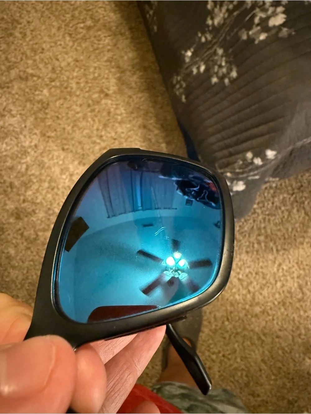 Costa polarized paunch
